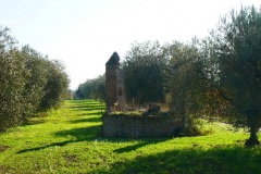 località-Cupola