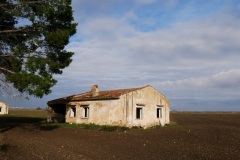 località-Padula-podere-Ente-Riforma-1