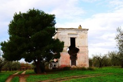 località-Sant-Andrea