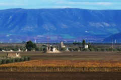 masseria-Del-Sordo-panorama-su-chiesa-Oliveto-e-masseria-Mascia