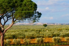 masseria-Del-Sordo-panorama-su-san-Severo