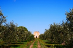 masseria-Parco-Trotta