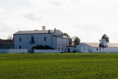 masseria-Torre-dei-Giunchi