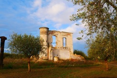 masseria-Vignali-Colio